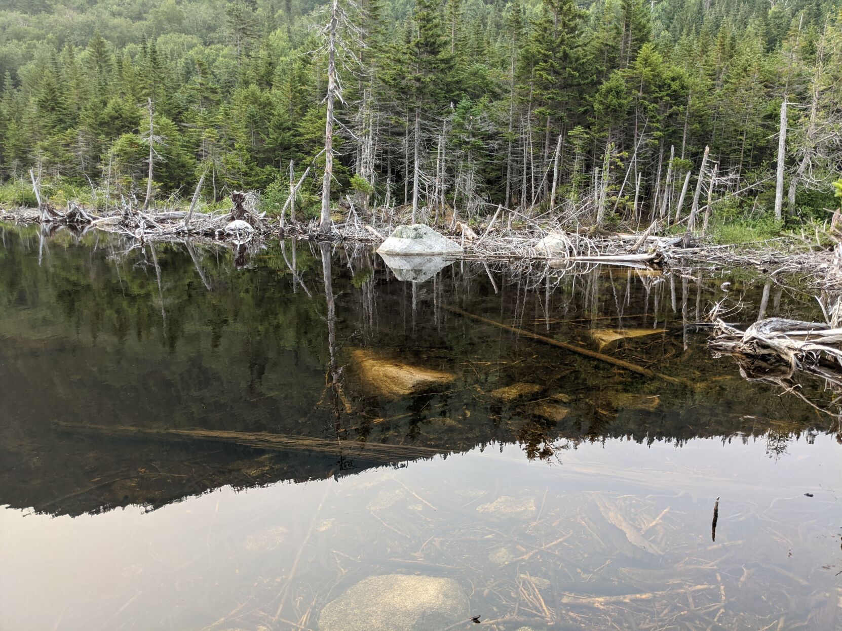 reflections.jpg